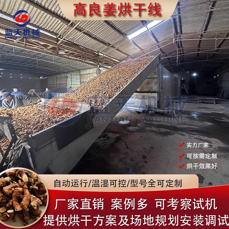 高良姜烘干机 香料凉姜南姜大料调料卤料烘干设备 网带凉姜干燥机