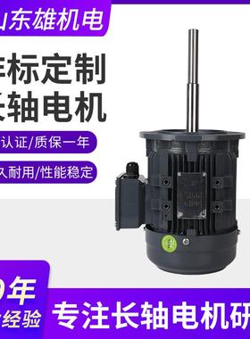 现货供应非标长轴电机 AEVF-0.75KW-4P三相异步电动机
