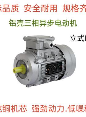 YS6324 14 34 44铝壳三相异步电动机/小型电机120W180W250W370W
