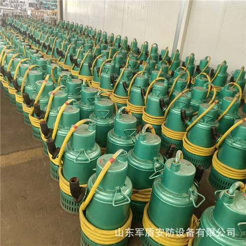 BQS80-40-22KW 矿用隔爆型潜水排沙电泵 矿用潜水泵 防爆水泵660V