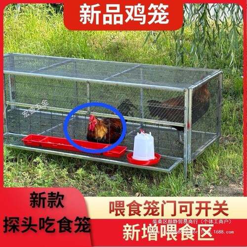 家用户外鸡笼折叠鸭笼兔笼大号加厚家用养殖设备笼厂家直销