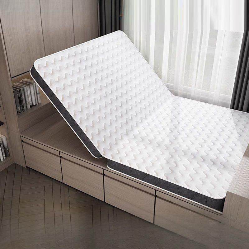 天然椰棕床垫零胶水双人1.8m护脊席梦思乳胶垫出租房折叠床垫爆款,鲜花速递/花卉仿真/绿植园艺,割草机/草坪机,淘宝优惠券,粉丝福利购,淘宝优惠卷