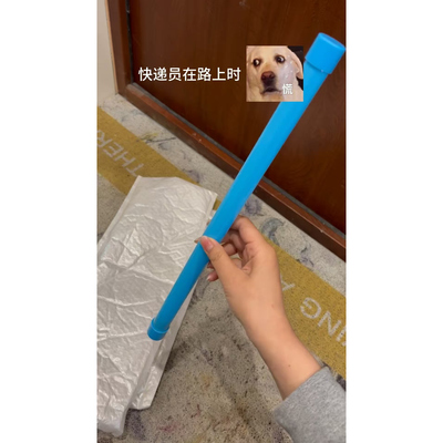 抖音同款魔音棒怪叫棒放屁管节日恶搞整蛊响笛发声摇摇棒儿童玩具