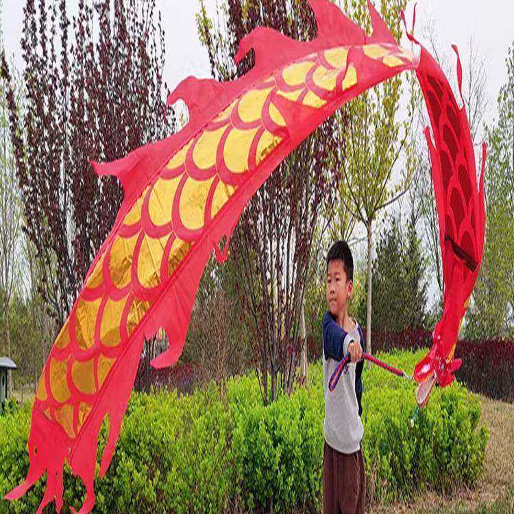 儿童健身龙甩龙彩带龙空竹龙龙狮产舞龙灯舞狮广场舞飘带道具表演