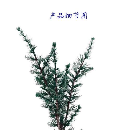 仿真假杉亚洲木松树植物云杉叶落叶Y松冷杉叶工程DI装饰011厂家