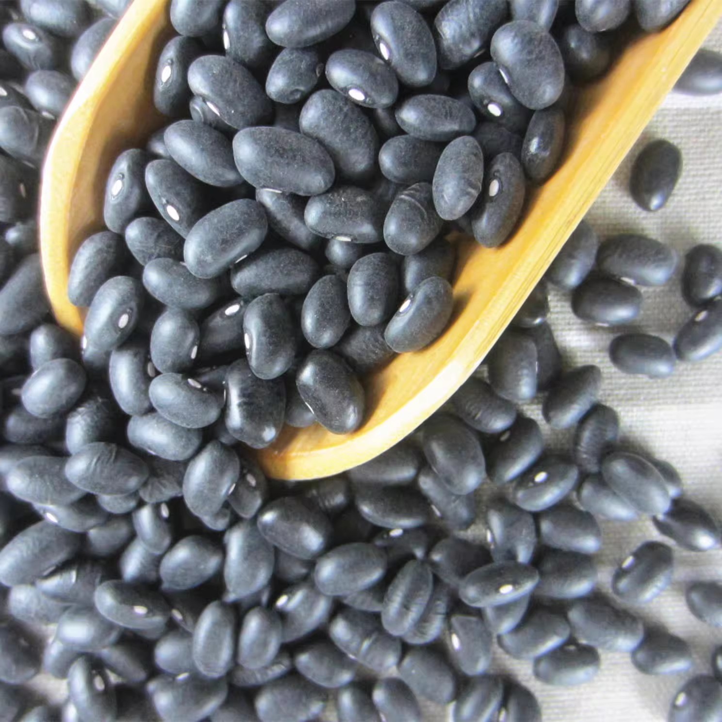 新东北黑龙江1斤农家黑芸豆馅白心黑豆肾形腰豆黑眉豆芸豆