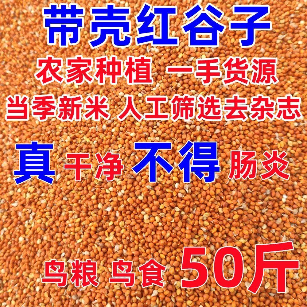 2023红谷子带壳小米鹦鹉文鸟玄凤芦丁鸡饲料鸟粮鸟食喂鸟小米50斤