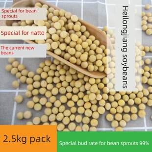 新东北东胜一号小胶囊大豆，农场种植豆浆，专门用于头发生长和豆