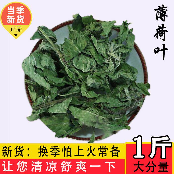 新鲜薄荷叶茶干500g食用泡水也生袋装组合茶茶清凉散装花草调酒