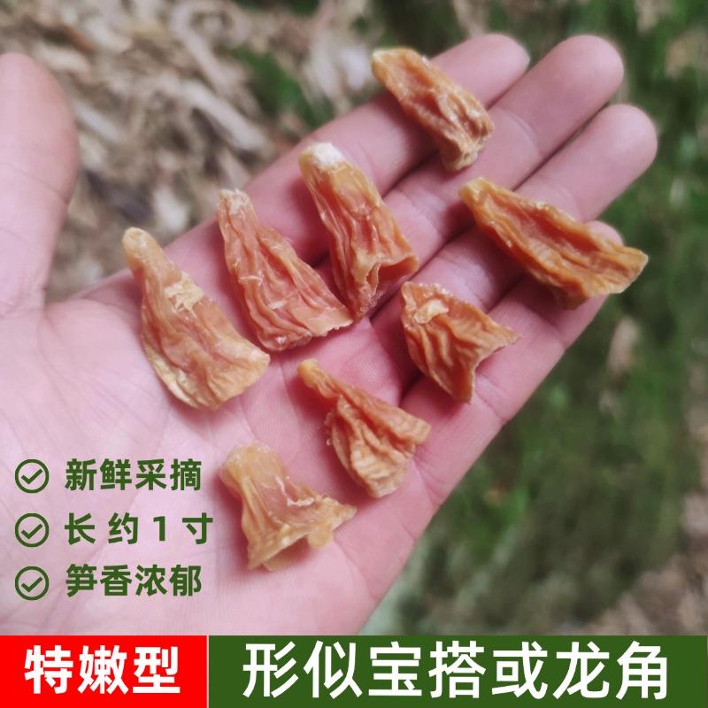特嫩冬笋尖笋干嫩笋宝尖贵州农家自制特产竹海玉兰片四川也生干货