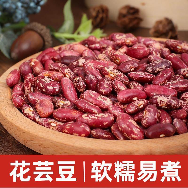 花芸豆大粒新鲜花芸豆当季新货紫花豆新豆煮粥饭豆奶花腰豆杂粮粥