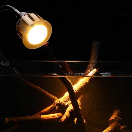 鱼缸射灯鱼缸夹灯水族灯水草缸海缸南美缸射灯LED灯小夜灯旋钮款