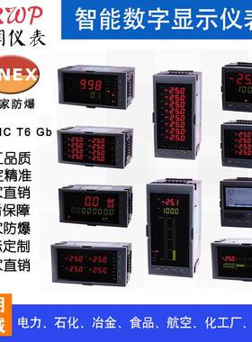 HR-WP-RP-XC803-01-24-HL-P-T转速表频率表数字显示控制仪表