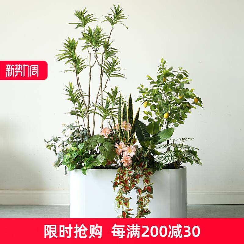 仿真百合竹花槽植物花箱插花摆件龙舌兰盆栽休闲区办公室绿色花草