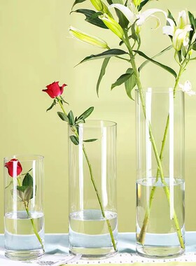 玻璃花瓶透明水养富贵竹百合花瓶摆件客厅插花干花北欧家用特大号