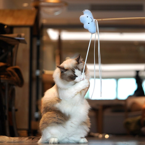 元気喵丨zeze猫玩具星空逗猫棒羽毛流苏猫薄荷解闷自嗨耐咬猫用品
