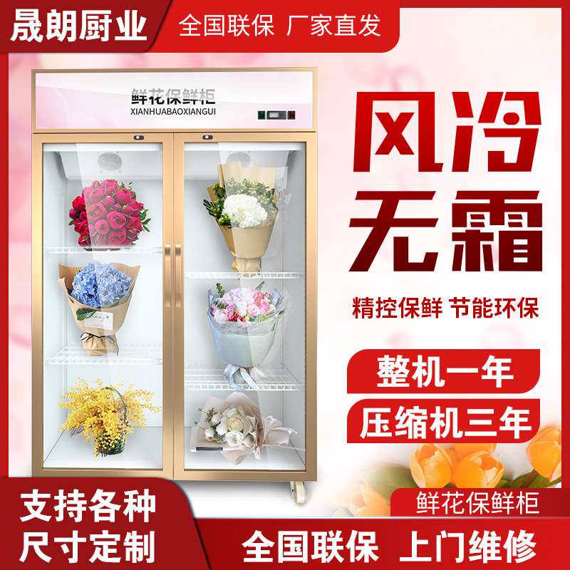 晟朗展示柜冷藏保鲜立式冰柜商用双门超市水果啤酒风冷冰箱饮料柜