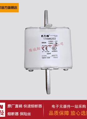 熔断器170M6203 170M6206 170M6207 170M6229 170M6256 170M6277