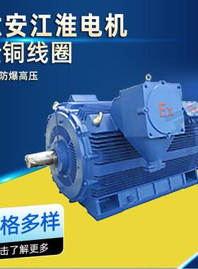 六安江淮电机YB3高压防爆三相异步电机45kw55kw全铜线圈厂家直供