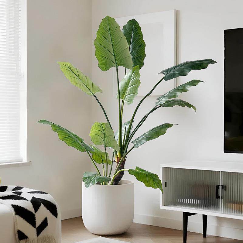 仿真绿植绿帝王室内大型假植物盆栽客厅服装店落地造景装饰龟背竹,五金/工具,五金工具箱/五金收纳箱,淘宝优惠券,粉丝福利购,淘宝优惠卷