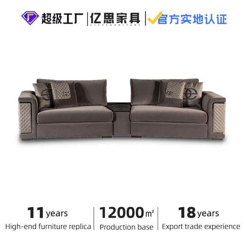 高端沙发豪华客厅沙发组合沙发椅布艺弧形沙发Light luxury sofa