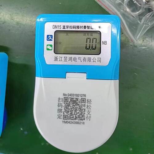 公寓出租房双模无线智能水表防水