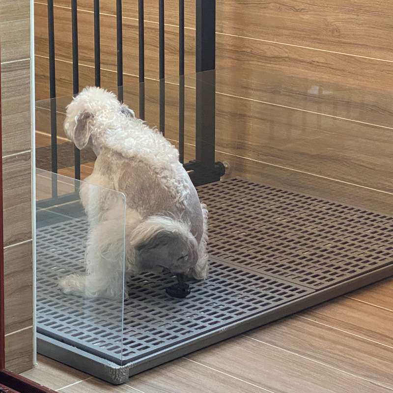方便易清洁平板狗厕所大号大型犬小型通用中型防滑狗尿宠物冲水