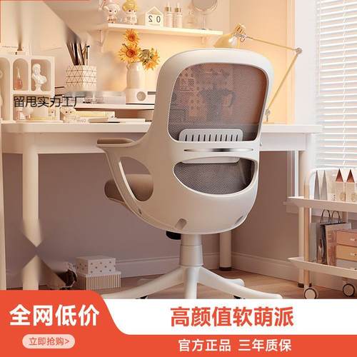 电脑椅学生椅可升降学习写字座椅办公家用书桌转人体工学椅子
