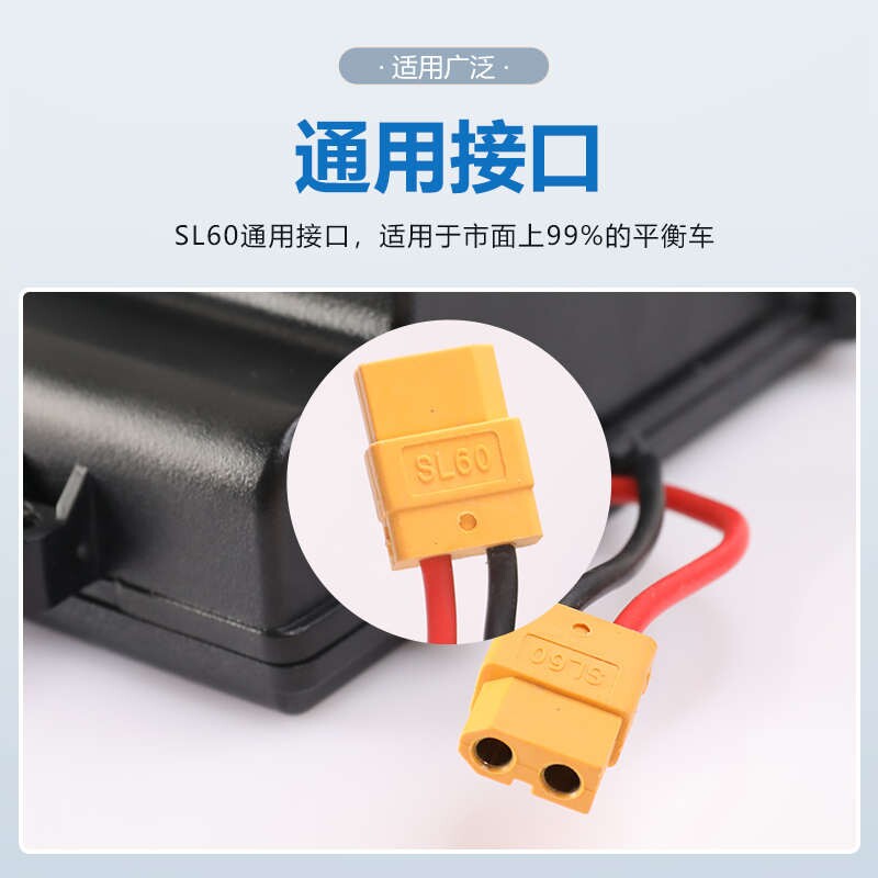 阿尔郎电动平衡车通用36v配件安新能源大容量派合一锂电池电瓶42v