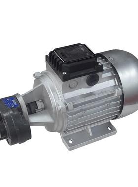 轮油5泵电机组3齿70/50W配CBB2.5/4组CPH/6/10油泵配齿轮油泵