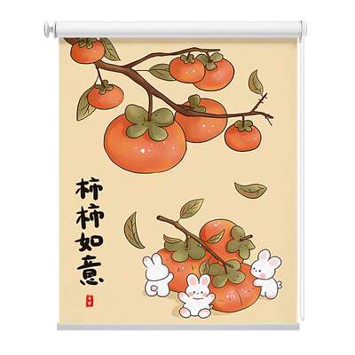 厨房窗帘卫生间卷帘免打孔防水防油防霉遮光卷拉式卧室遮挡帘风源