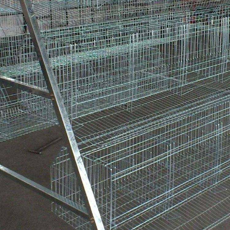 阶梯用式6层鸡笼养殖场专鸡蛋鸡笼笼子4位丝用笼家鸡笼养铁鸡设备