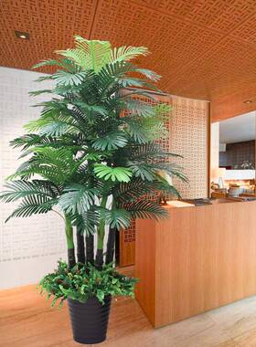 散尾葵植物厅大型盆栽摆防件装饰植A13074假绿真盆客景假花落地葵