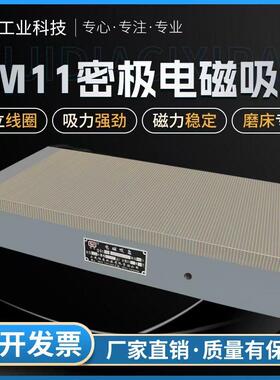 密极电磁吸盘大水磨床强力电磁吸盘7130磨床电磁吸盘细目电磁吸盘