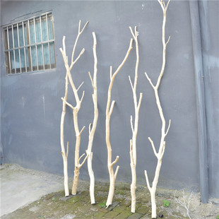 去皮树杈多叉干树枝橱窗插花装饰天然造型造景树枝龙骨造型加粗型