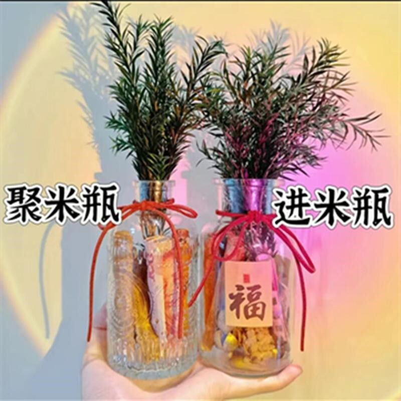 肉桂生财床头大肚森系搬家用房间装饰客厅窄口玻璃瓶聚米进米摆件