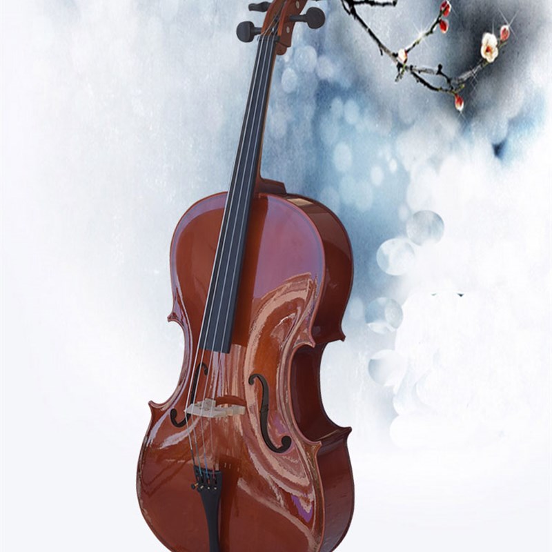 索雅特DV18龙为机械调音 实木手工大提琴 演奏大提琴练习大提琴