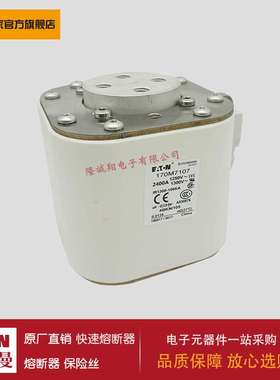 熔断器170M7202 170M7203 170M7204 170M7205 170M7206 170M7207