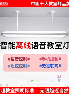 新国标儿童学习护眼灯全光谱智能离线语音教室灯防近视落地大路灯