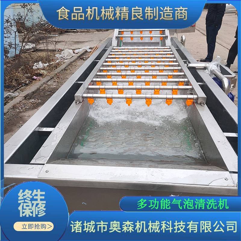 水果蔬菜气泡清洗机药材根茎类蔬菜清洗设备砂糖橘柑橘打蜡清洗机