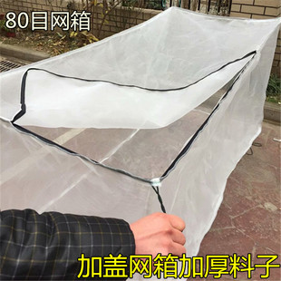 网箱养殖网专用养鱼网箱养殖黄鳝泥鳅水蛭水花育苗80目加厚带盖网