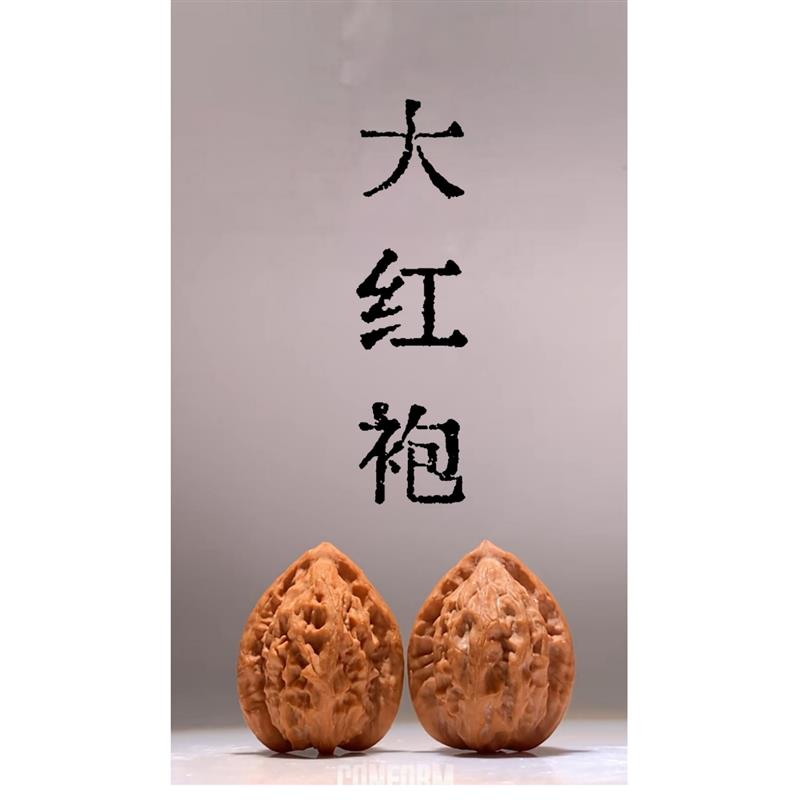 一物一图实拍六面 秦岭野生大红袍(观音帽)原树果核桃无药无修