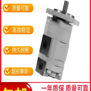 F30 CBTLZTD AF齿轮油泵CBTLZTD F16 AF11 F32