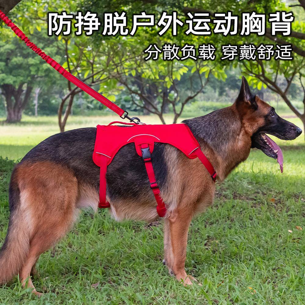 狗狗牵引绳中大型犬防爆冲宠物胸背带背心式金毛遛狗绳子防走丢