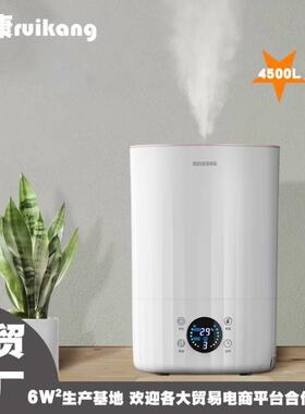 202上5爆款家用母婴室RK-JS01内桌面加湿器大4L办公室加雾水补水