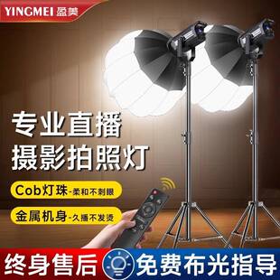 300W直播补光灯 直播间拍摄美颜柔光灯深抛影棚灯专用灯双色温