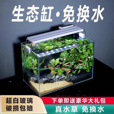 鱼缸客厅生态小型造景全套自循环系统免换水超白玻璃材质