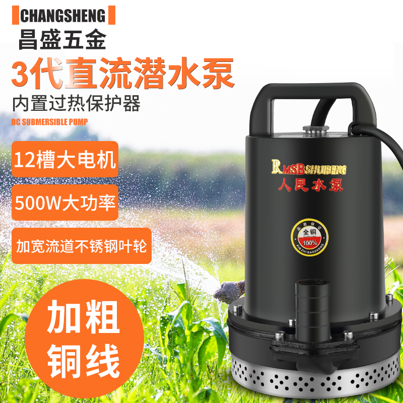 上海人民V2V8V0V直流潜水泵抽水泵家用农用刷车电动车高扬程