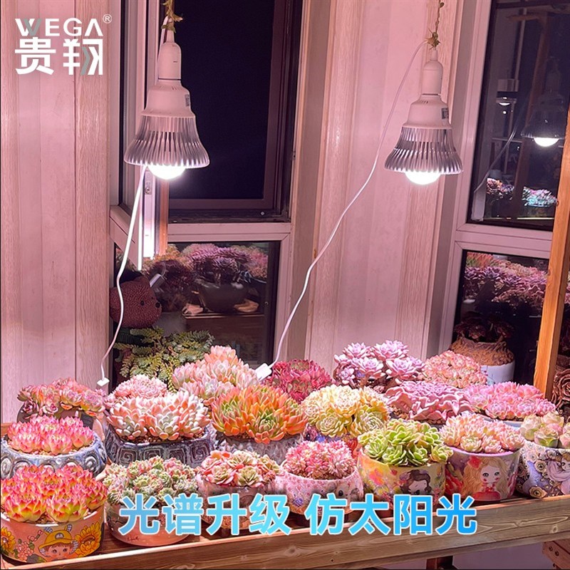 贵翔多肉补光灯家用上色全光谱防徒长LED仿太阳光植物生长风冷灯