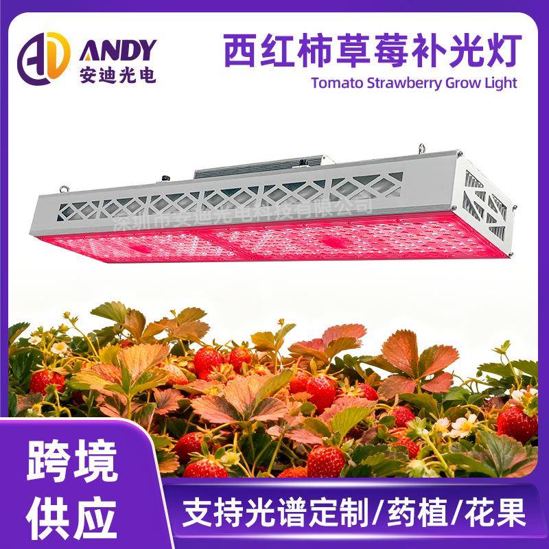 西红柿草莓补光灯专用全光谱600w 300w透镜款led植物灯顶棚生长灯